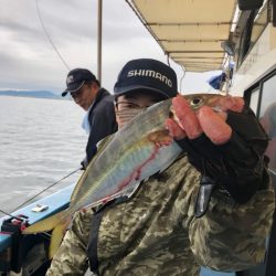 ヤザワ渡船 釣果