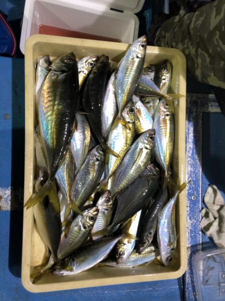 ヤザワ渡船 釣果