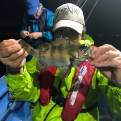 ヤザワ渡船 釣果