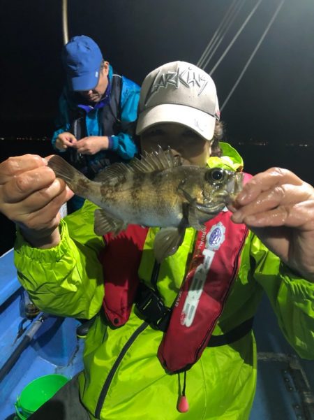 ヤザワ渡船 釣果