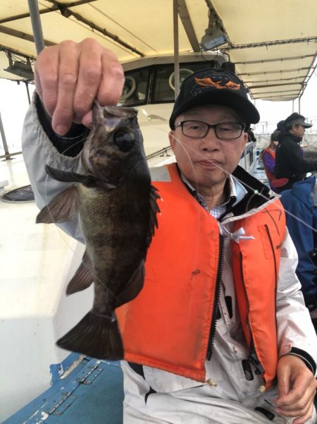 ヤザワ渡船 釣果