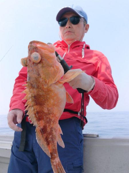 ブルースフィッシングサービス 釣果