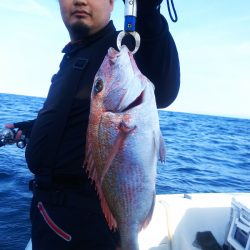 ブルドック 釣果