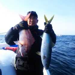 ブルドック 釣果