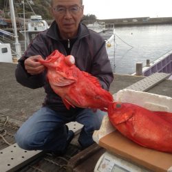 晃山丸 釣果