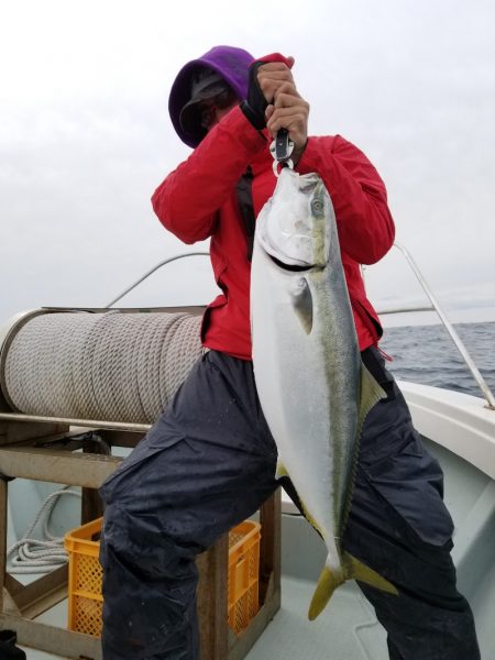 アマテラス 釣果