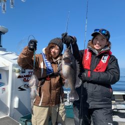 シーランチ 釣果