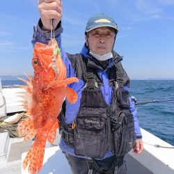 エンペラー 釣果