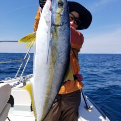 アマテラス 釣果