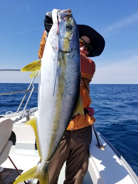 アマテラス 釣果