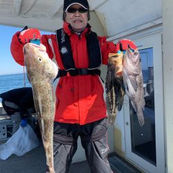 シーランチ 釣果