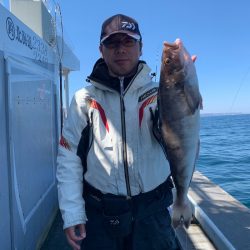 シーランチ 釣果