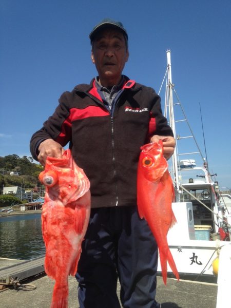晃山丸 釣果