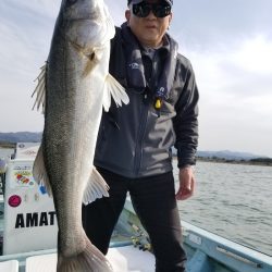 アマテラス 釣果