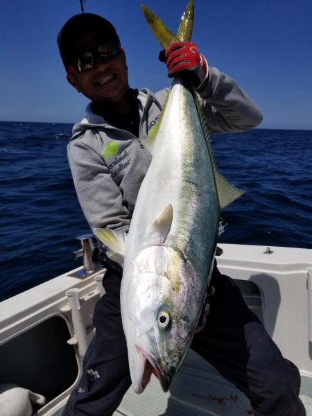 アマテラス 釣果