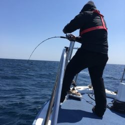 渡船屋たにぐち 釣果