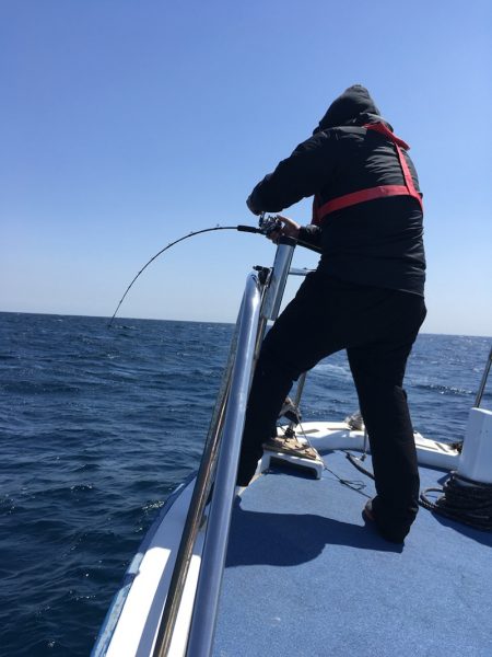 渡船屋たにぐち 釣果