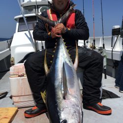 渡船屋たにぐち 釣果