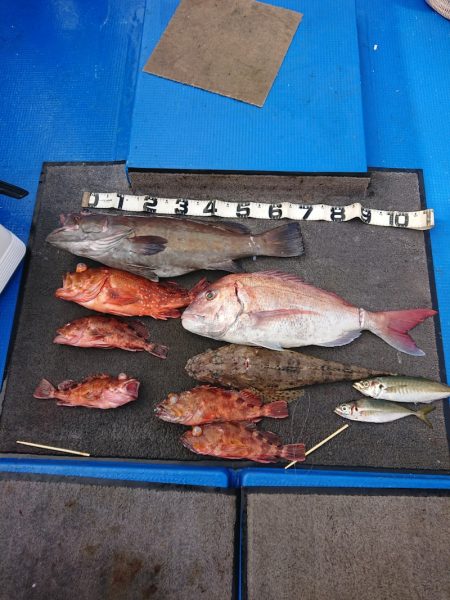 清和丸 釣果