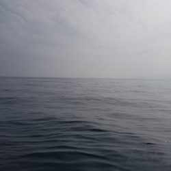 アマテラス 釣果