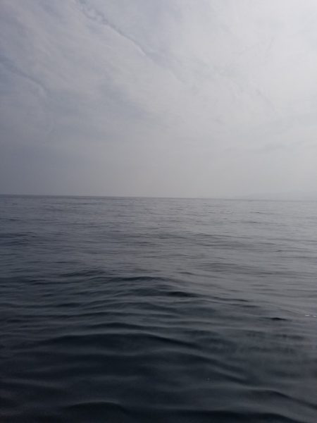 アマテラス 釣果