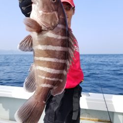 アマテラス 釣果