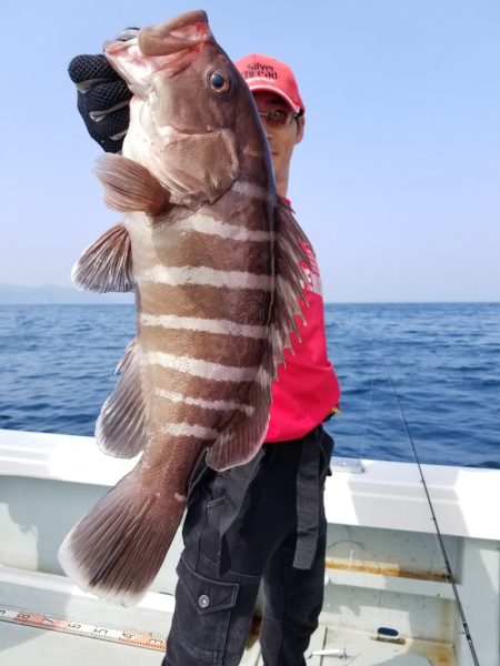 アマテラス 釣果