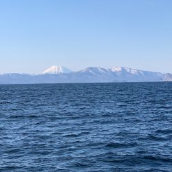 シーランチ 釣果