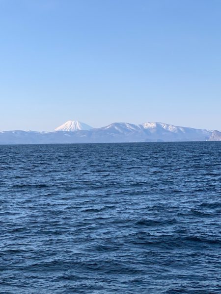 シーランチ 釣果