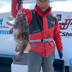 シーランチ 釣果