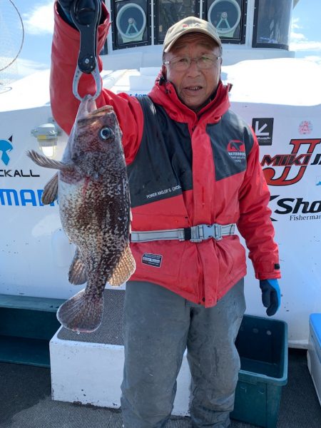 シーランチ 釣果