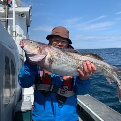 シーランチ 釣果