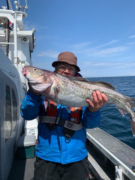 シーランチ 釣果