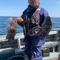 シーランチ 釣果
