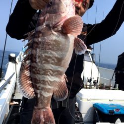 渡船屋たにぐち 釣果