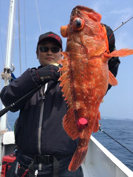 渡船屋たにぐち 釣果