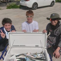 ありもと丸 釣果