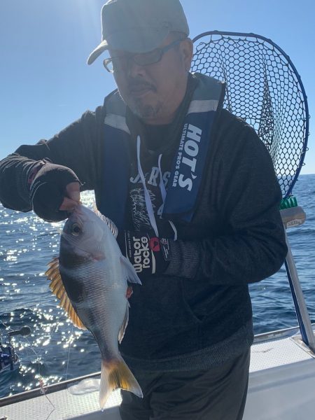 釣鯛洋 釣果