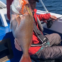 釣鯛洋 釣果