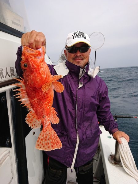 エンペラー 釣果