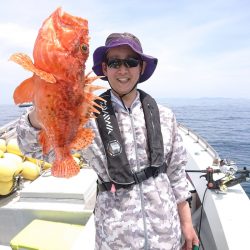 エンペラー 釣果