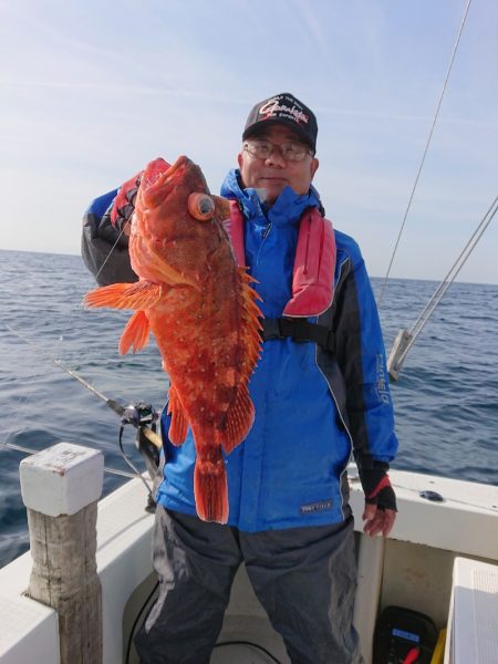 エンペラー 釣果