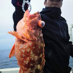 光生丸 釣果