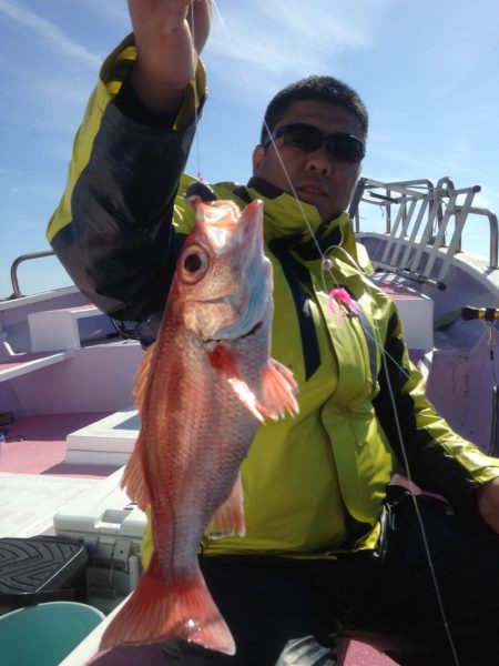 晃山丸 釣果