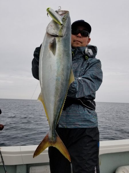 アマテラス 釣果