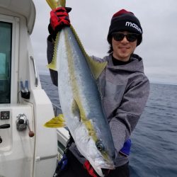 アマテラス 釣果