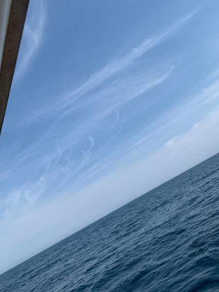 シーランチ 釣果