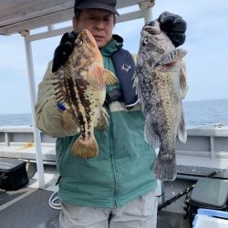 シーランチ 釣果