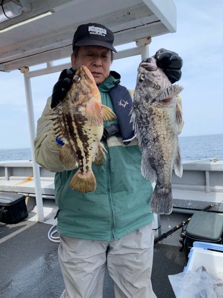 シーランチ 釣果