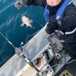 シーランチ 釣果